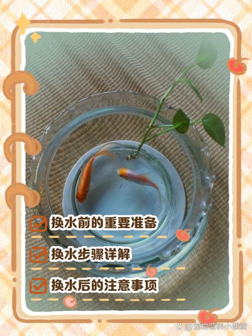 ����ˮ��-ˮ�尮���߽������� ����ιʳ��ˮ������ͼ