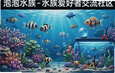 ����ˮ�������������㽻���뾭�����