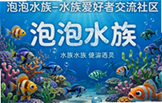 ����ˮ�������������㽻���뾭�����