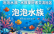 ����ˮ�������������㽻���뾭�����