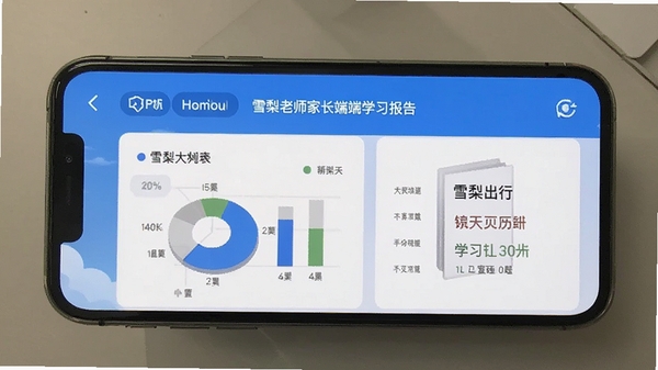 雪梨老师家长端学习报告界面展示,图表清晰,手机屏幕截图风格