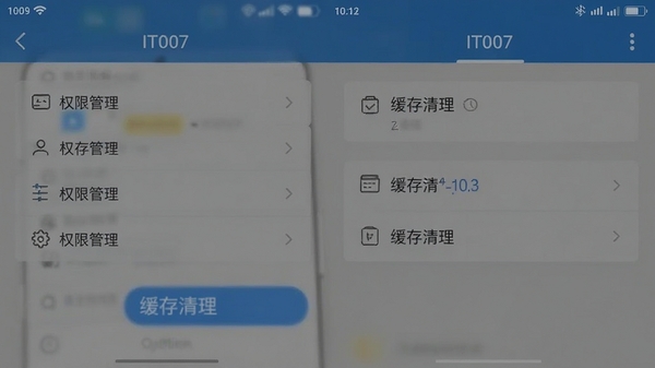 IT007移动端设置界面截图,展示权限管理与缓存清理选项