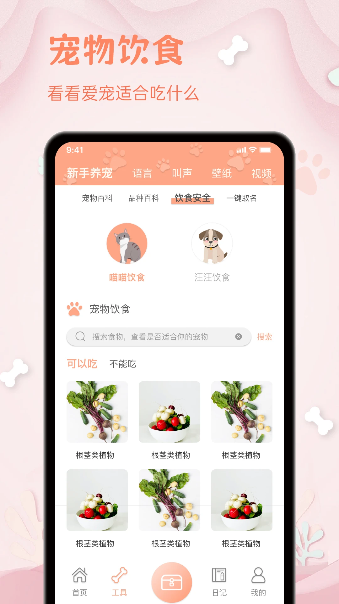 ����������-è������ʵʱ�����ͼ2