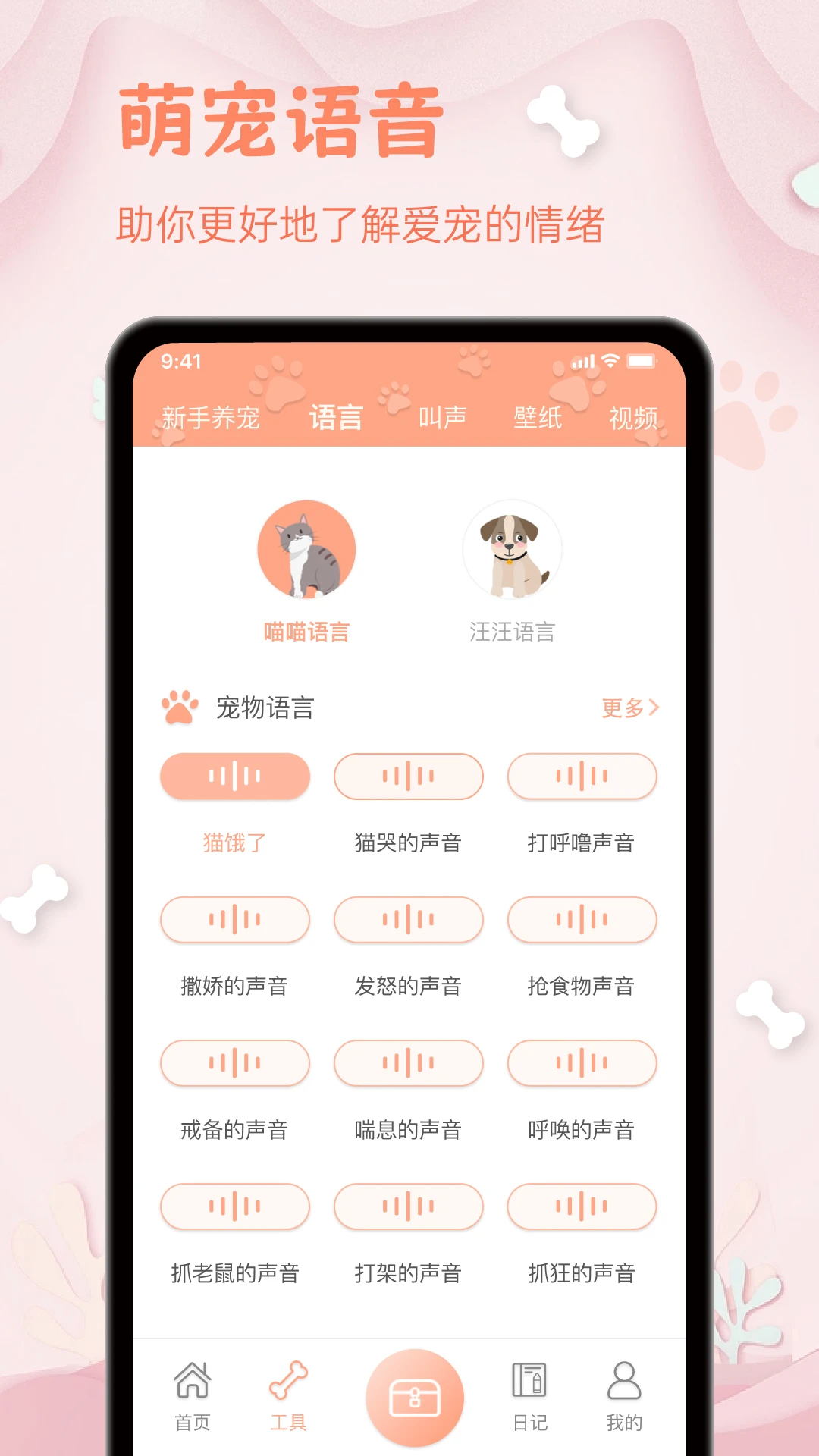 ����������-è������ʵʱ�����ͼ1