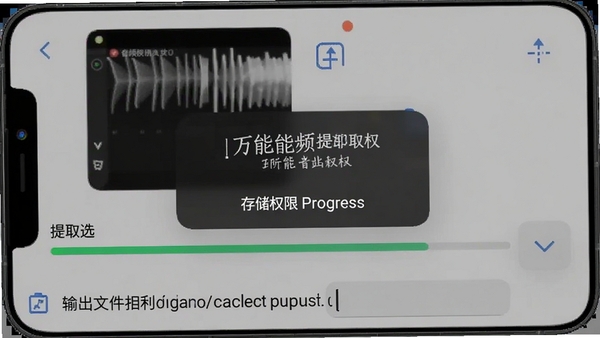������Ƶ��ȡ���ƶ��˲������棬�洢Ȩ����Ȩ��������Ƶ��ʽѡ�������˵�����ȡ������������ļ���·����ʾ���ֻ���Ļ��ͼ���
