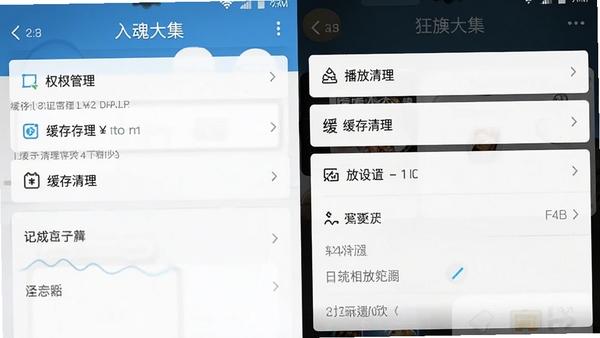 入魂大集手机端设置界面截图,展示权限管理、缓存清理、播放设置等选项,画面清晰展示操作路径