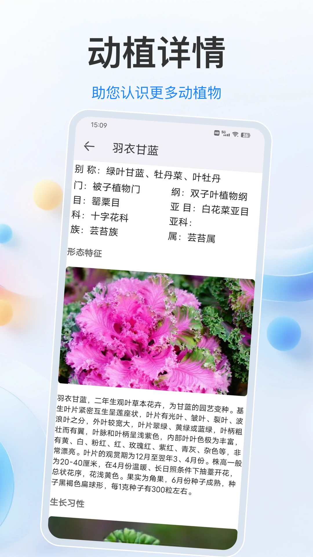ֲ���-ֲ��ʶ���������ֽ�ͼ3