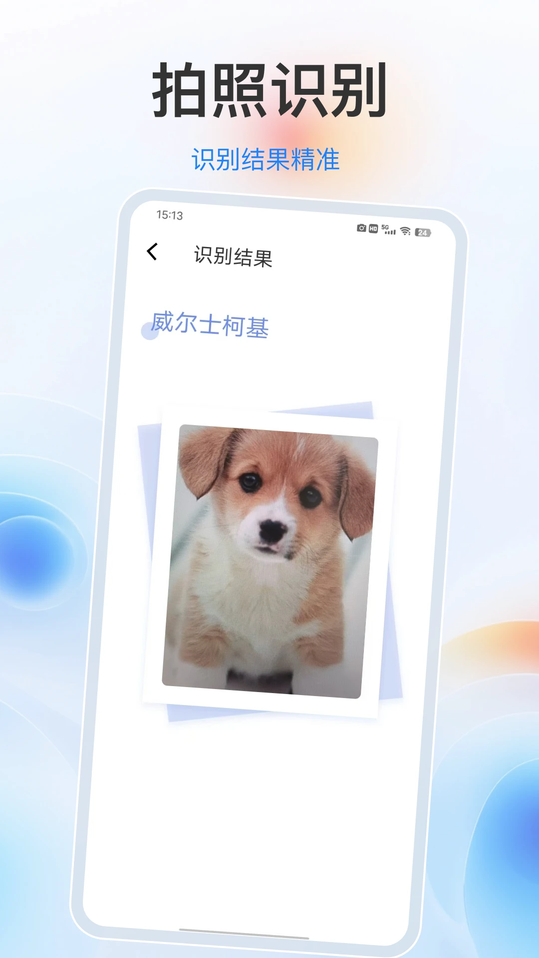 ֲ���-ֲ��ʶ���������ֽ�ͼ2