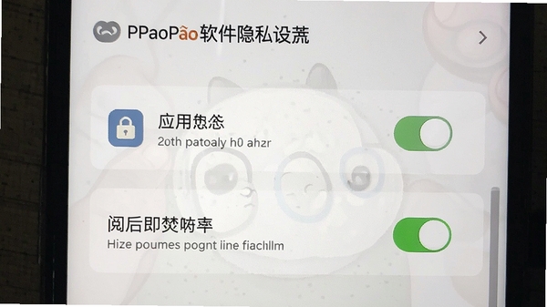 PaoPao������˽����ҳ���ͼ��չʾӦ�������ĺ󼴷ٹ��ܿ���