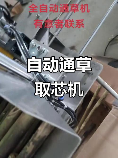 ��ɭ��ҩ-������ҩ��ժ���� ��ҩ�Ĳ��չ������������ͼ