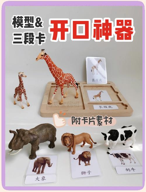 蒙氏语言-儿童语言启蒙学习工具 分阶段语言卡片配对功能