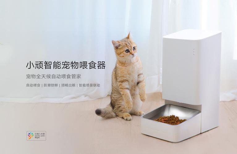 è�ܼҸ����˵���(Cat Butler)ʹ�ü��������ñ��ݽ���