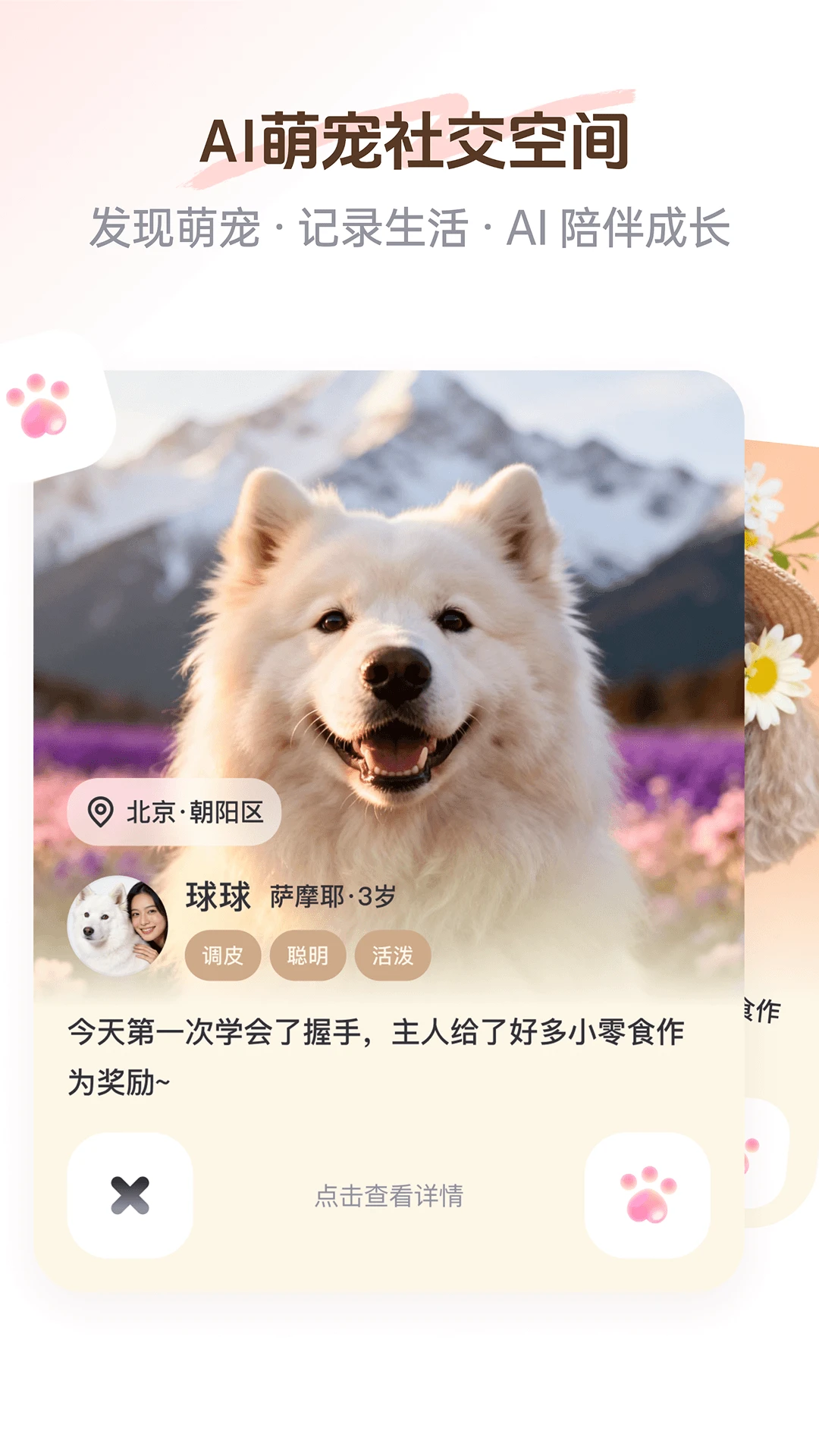 PetSpace-桌面宠物互动助手截图