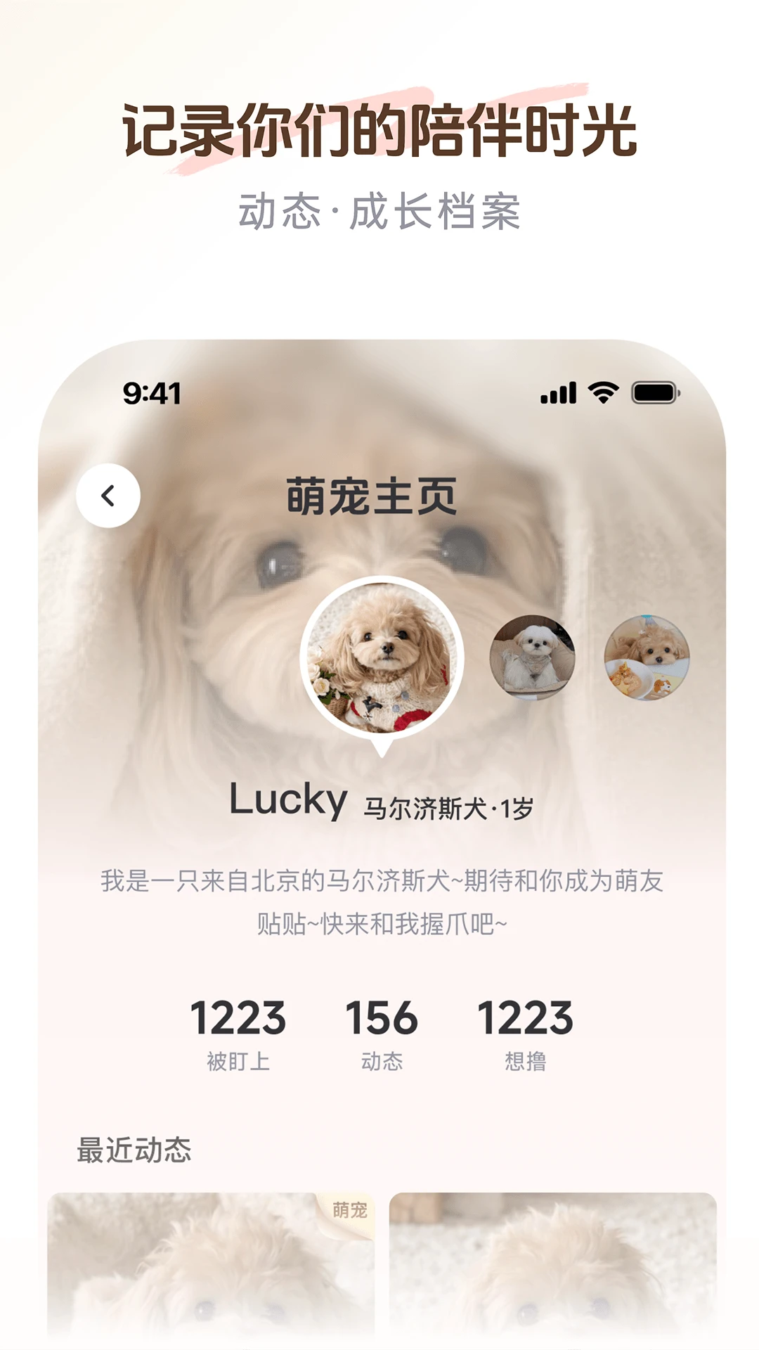 PetSpace-桌面宠物互动助手截图