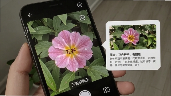 ����ʶ����app�����ʶ������ʾͼ���ֻ�����һ�仨����Ļ�����������ƺͼ�鿨Ƭ