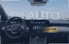 DiAuto��������ô�ò�˳��