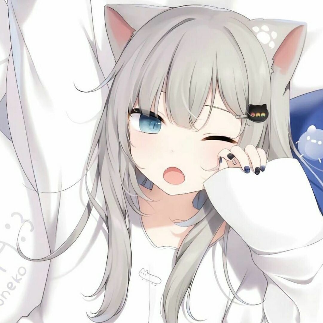 �δ�pakˢ��ģ����(�δ���)V1.0 ���°�