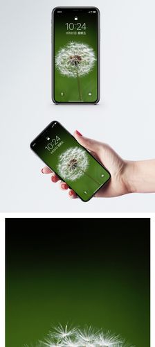 �ѹ�Ӣ�����ֻ���ٷ���������ҳ�� �汾��Ϣ�˶Խ�ͼ