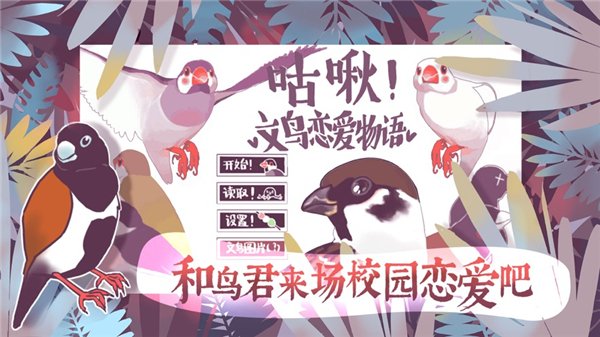 �������������������°氲׿���ͼ2