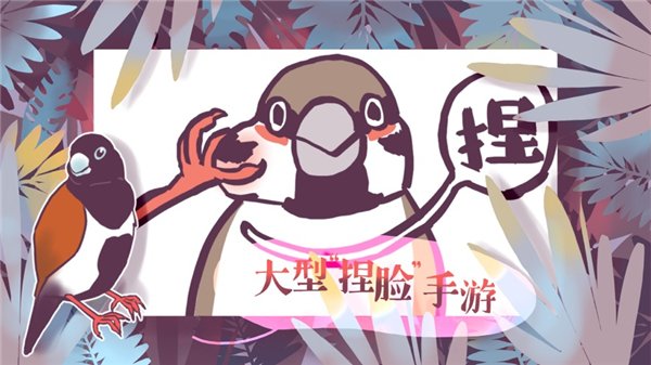 �������������������°氲׿���ͼ0