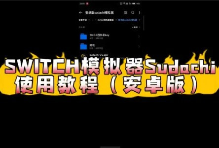 sudachi��槼�NSģ����