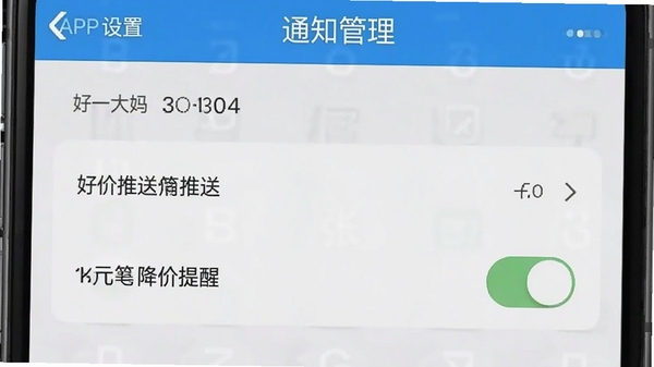 张大妈APP设置页面通知管理界面,展示好价推送与降价提醒开关选项,手机屏幕截图风格