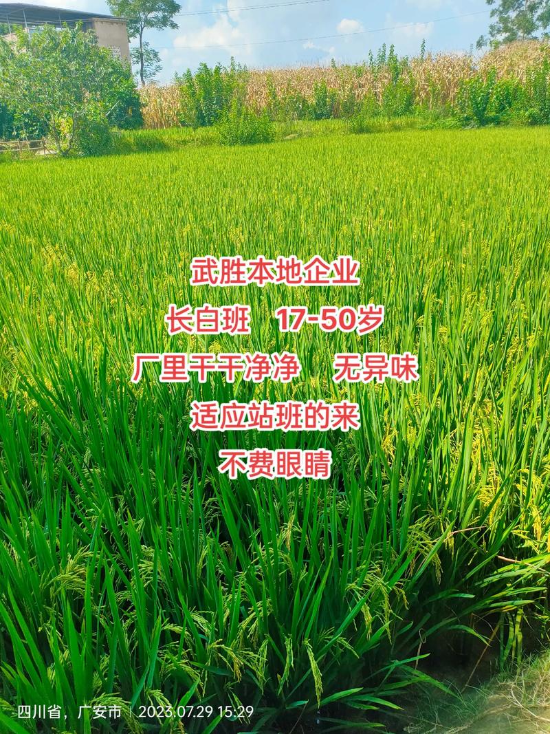 ����ʤ-��ʤ����������Ѷƽ̨ ��ʤ������Ƹ��ְ��Ϣҳ��