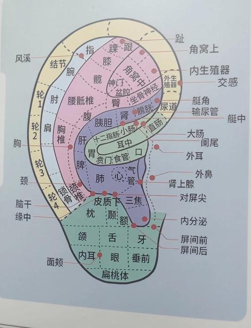 �����ж�Ѩ�����ҽ��Ѩ�������� ���������Ѩ��⹦��չʾ