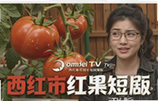 ����������̾�TV����ѹۿ���ȫ