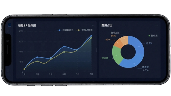 领星ERP财务报表界面,手机屏幕呈现利润趋势曲线与费用占比饼图,商务数据风格