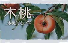 ľ��д��10��ʵ�ü�������д��Ч��