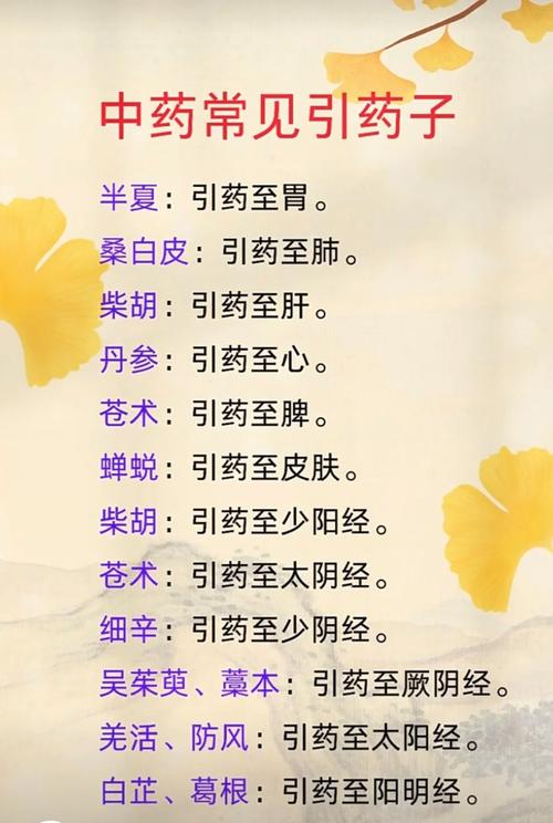 ��ҽ�ٿ�-������ҽ֪ʶ�ٲ鹤�� ҩ����ζ�龭Ѩλ��λ��ѯ������ͼ