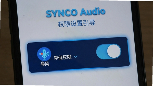 SYNCO AudioȨ����������ҳ�棬��˷���洢Ȩ�޿��ظ������ֻ������࣬��ɫ��ʾ������Ŀ