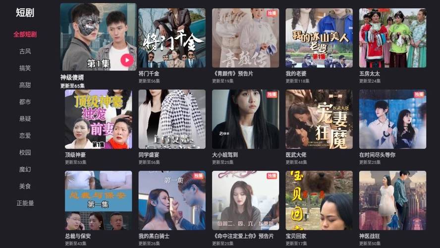 免费短剧全看集-海量短剧随心看 短剧播放页面高清截图