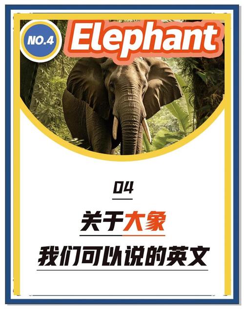 ����ԭ��Ӣ��-����Ӣ��ѧϰ���� ����������������ҳ��