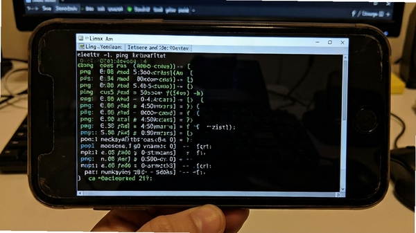 Linux�ն�������������Ϲ��ܽ��棬��ʾping����ִ�н�����ֻ���Ļչʾ