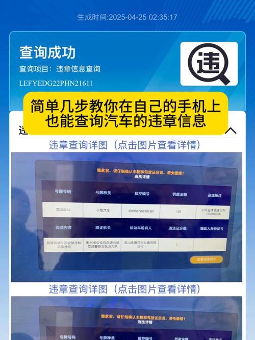 ���г��ܼ�-�г���¼�복���������� ����������Υ�²�ѯ����չʾ