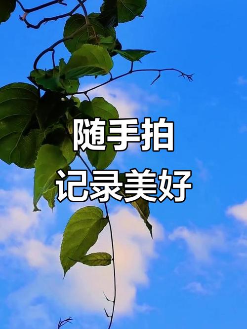 Lovia-记录美好瞬间的影像工具 素材整理云端同步使用细节配图