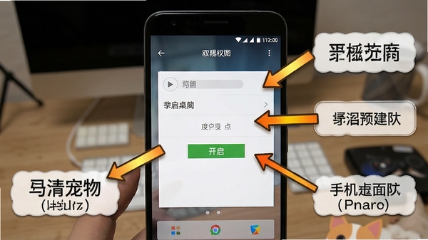 手机桌面宠物权限设置示意图,展示安卓手机悬浮窗权限开启界面,配有箭头指引和文字标注