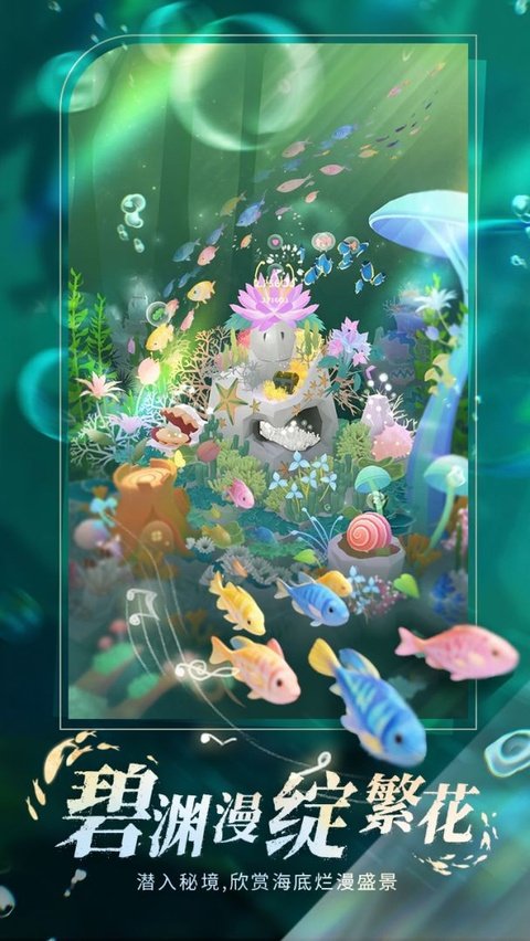 ��澳�ٷ����ͼ