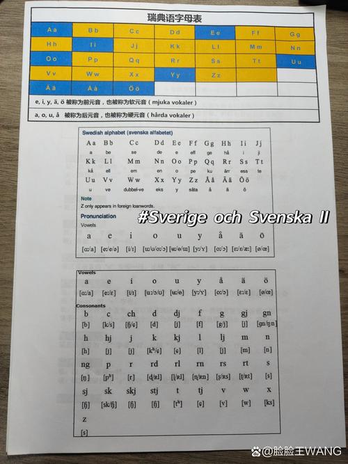 Swedish Ai-�����AIѧϰ���� ����������ϰ �������ĸ��������