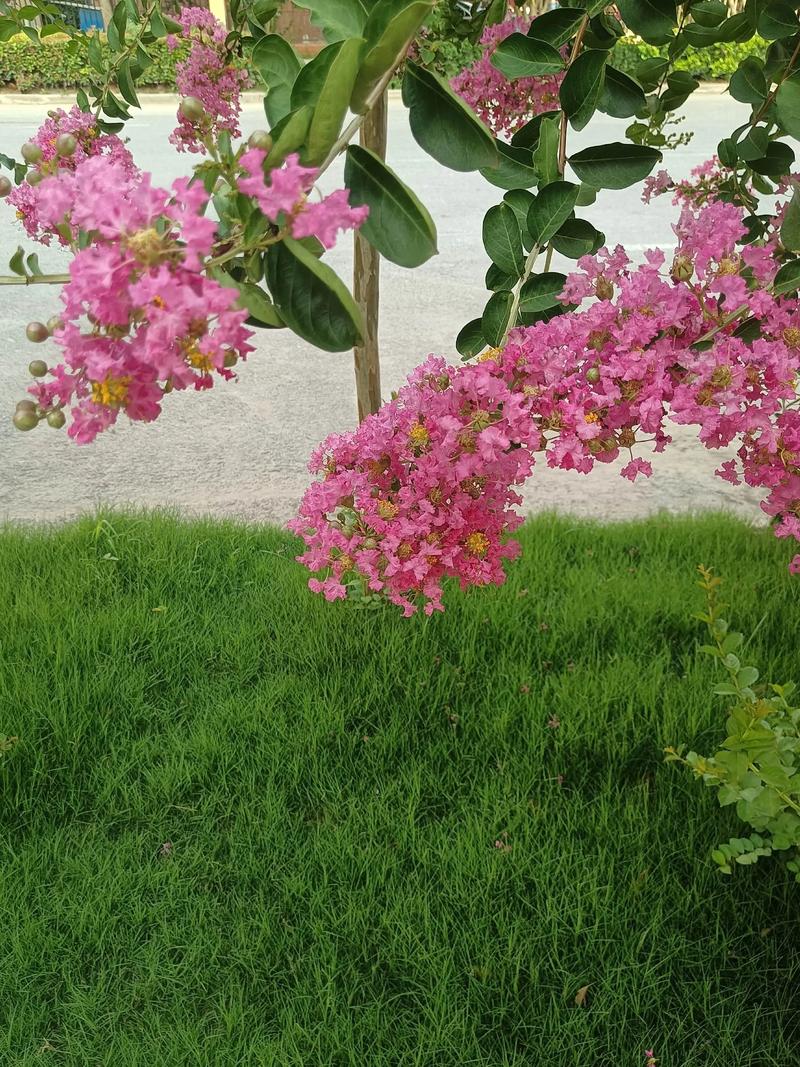 ����-��¼��������ʱ�� �ֻ���¼�ճ�����˲���ʵ�Ļ���