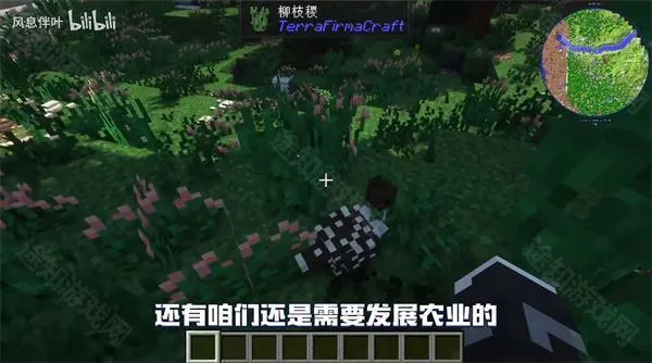 �ҵ�����Ⱥ�ʹ�˵���ϰ���׿��