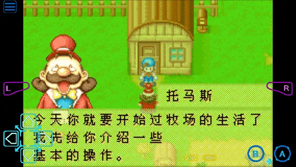 ���������ʯ��Ļ����2013������(������Ӫ��Ϸ)��ͼ