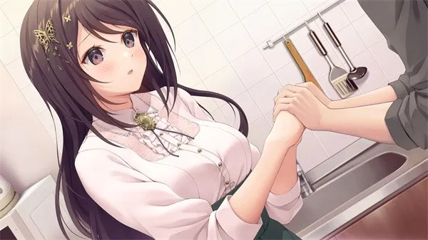 COSPLAY LOVE Enchanted Princes(cosplay������Ϸ)��ͼ