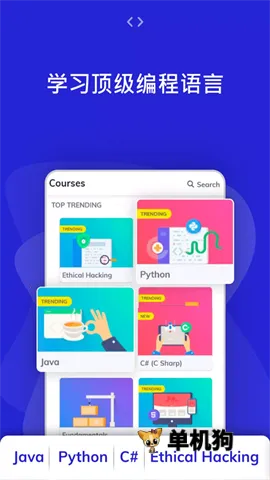 Programming Hub(���ѧϰ����)��ͼ