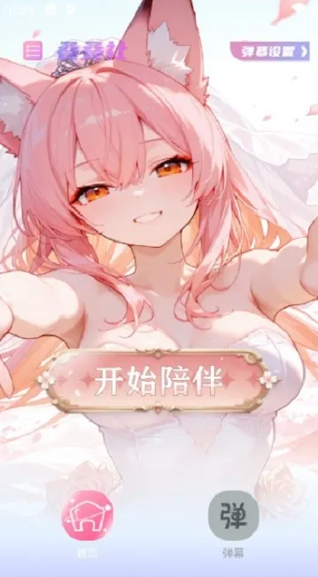 ���������ذ�װ��ͼ