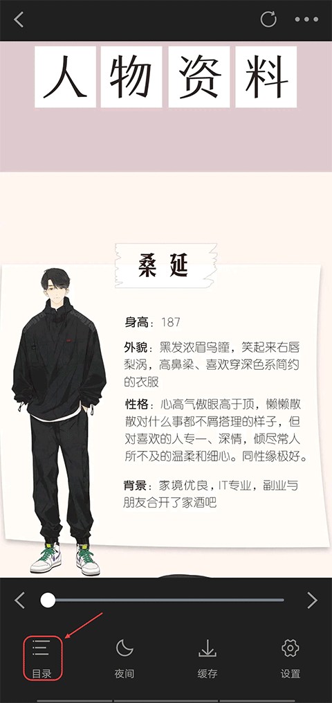 ����������(��������������)