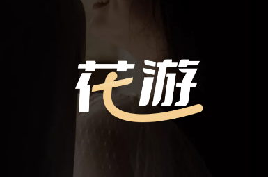 �������ذ�װ