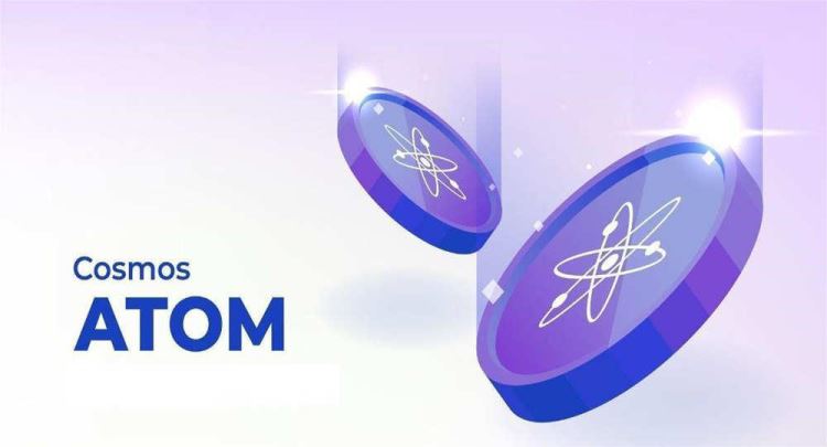 ATOM��ͯľ������APP